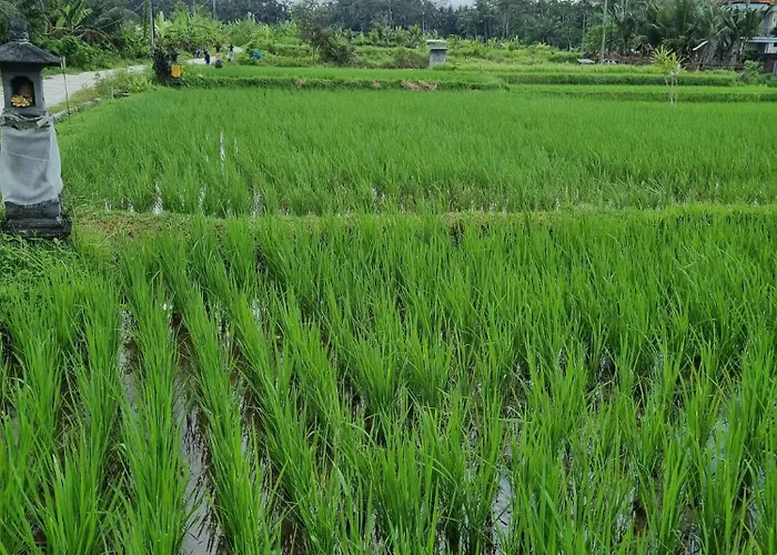 New 4 Bedroom Surrounded By Jungle And Ricefields Villa *